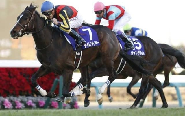 【エルムS見どころ】タイムフライヤーの2連勝なるか
