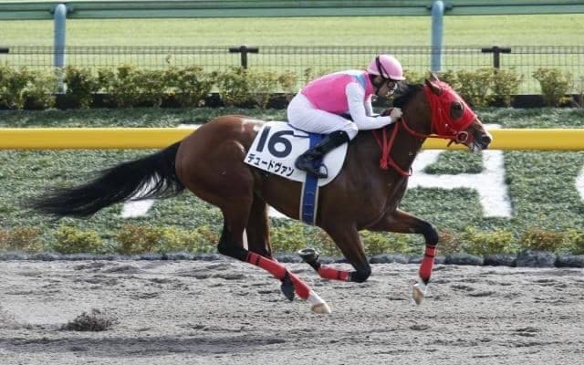 【レパードS見どころ】重賞2着のデュードヴァンが人気の中心