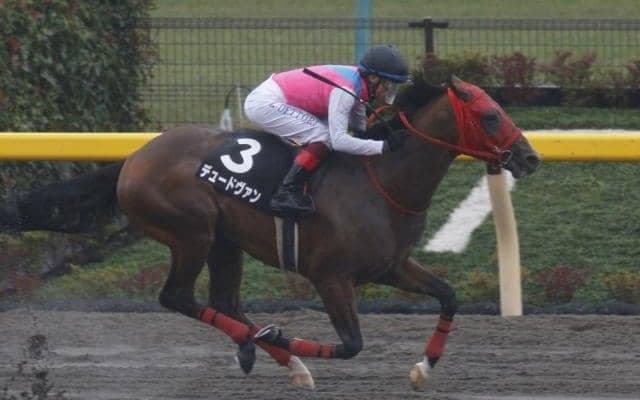 【レパードS予想オッズ】デュードヴァンに人気が集まり、ラインベック・ミヤジコクオウが続く