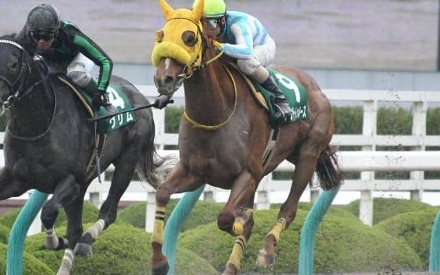 【エルムS出走馬決定順】フルゲート14頭にウェスタールンドら17頭の登録　2頭は札幌日経OPにも登録