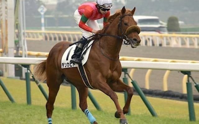 【門別競馬情報】史上初「シーズン500億円」突破も!? 好調続く門別ナイター、今夜メイン12Rは伸び盛りの3歳2騎に注目「登別地獄まつり特別」/地方競馬情報
