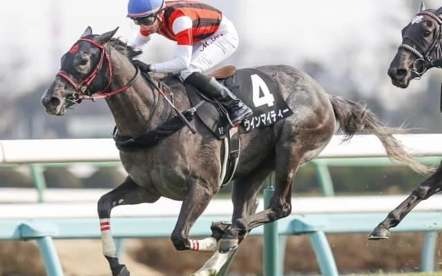 【次走】オークス3着ウインマイティーは紫苑Sで始動予定