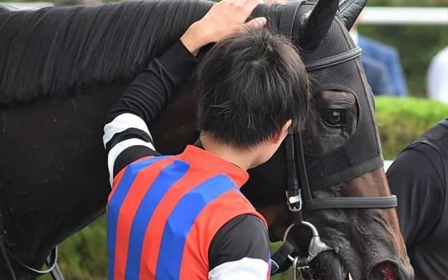 【先週のJRA抹消馬】淀短距離S覇者ナインテイルズ、ルミエールAD覇者レジーナフォルテなど