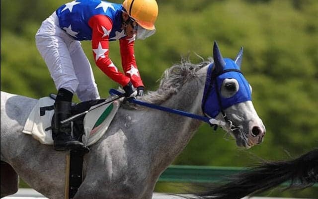 馬にも“年金制度を”競走馬年金の構築に向けて…