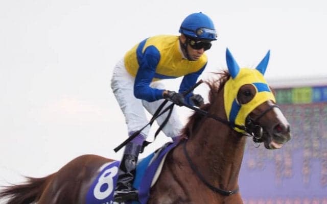 【武豊日記】乗るからには相棒を信頼して前向きに