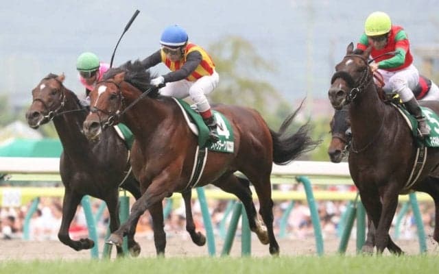 メドウラークが競走馬登録抹消