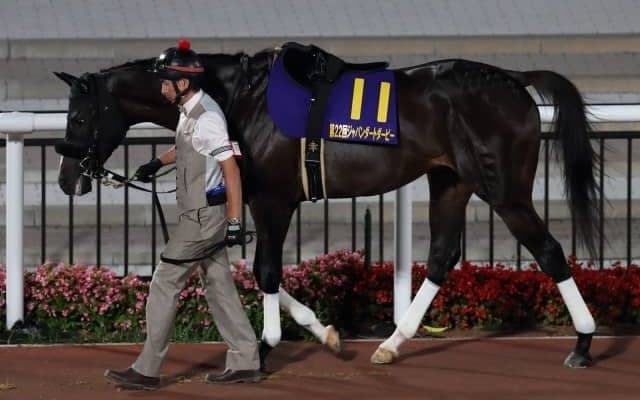 【レパードS予想】ミヤジコクオウの巻き返しに期待/JRAレース展望