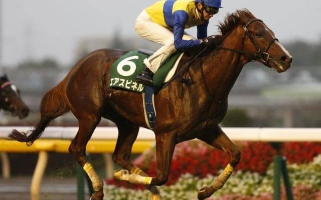 【本日の注目ポイント】新潟でレパードS、札幌ではエルムS