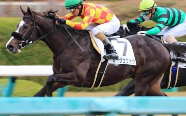 【レパードS予想】実績上位馬2頭と良血ラインベックの戦いに注目!!/JRAレース展望