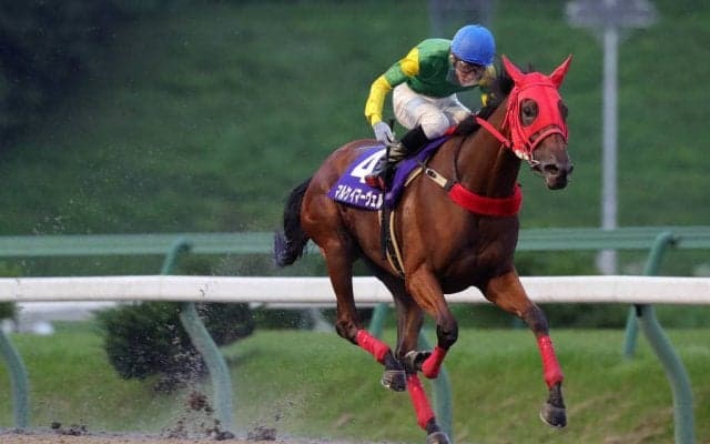 【盛岡・ひまわり賞】2番人気のマルケイマーヴェル号が優勝