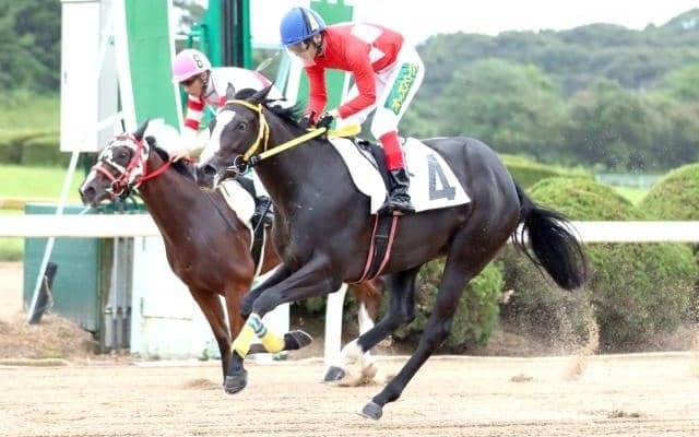 【地方競馬】佐賀競馬の手島勝利調教師が通算1000勝達成