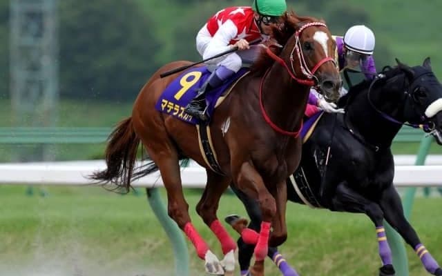 【盛岡・クラスターC結果】マテラスカイがゴール前で抜け出し日本レコードでV