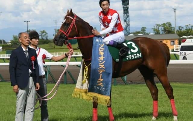 【クラスターC馬体重】武豊マテラスカイは523kg(-5)、御神本訓史ブルドッグボスは510kg(-15)