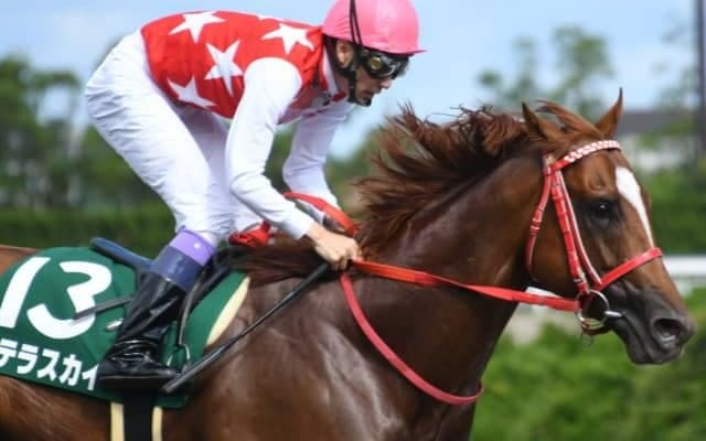 【クラスターC見どころ】武豊＆マテラスカイらが参戦！ 岩手の夏を彩る短距離重賞