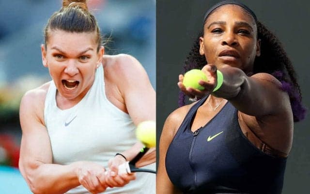 ハレプ、セレナの女子トップ10がツアー再開後初戦勝利。土居は初戦敗退