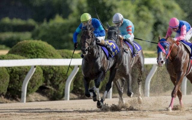 【サマーチャンピオン】サヴィが逃げ切る！コパノキッキングは3着