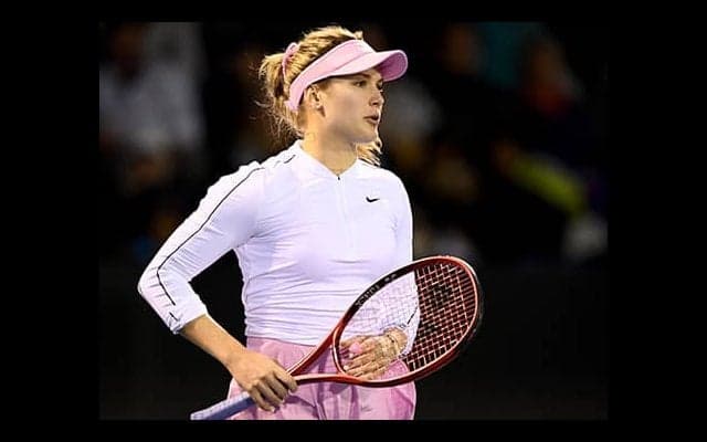  世界330位のブシャール 8強へ 