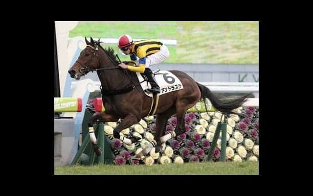 関屋記念は戦歴が真逆の４歳馬２頭に注目。激走を予感させる好材料が揃う