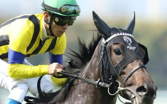 【小倉記念予想】昇級初戦ランブリングアレー 武豊騎手と重賞初制覇へ/JRAレース展望