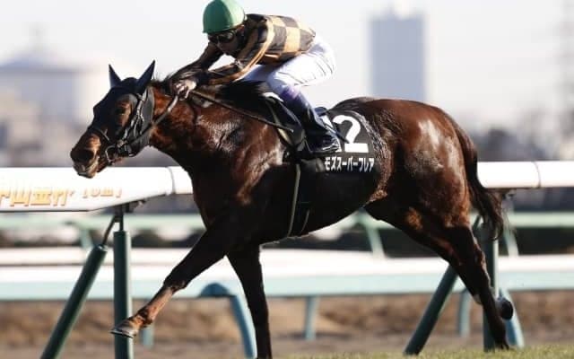 【北九州記念見どころ】高松宮記念覇者モズスーパーフレアが登場
