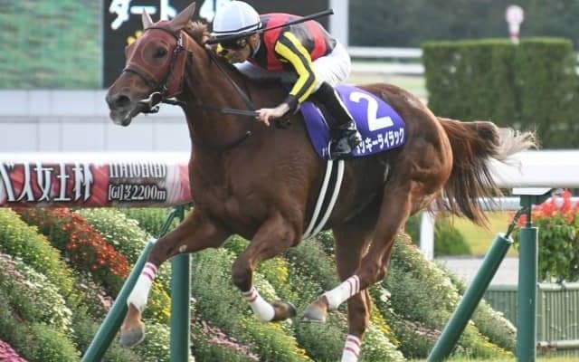 【札幌記念見どころ】GI・3勝のラッキーライラックが人気の中心