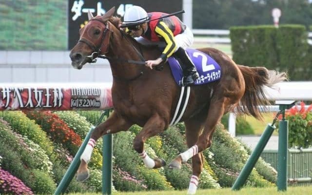 定量GII札幌記念＆ハンデGIII北九州記念に注目/今週の競馬界の見どころ