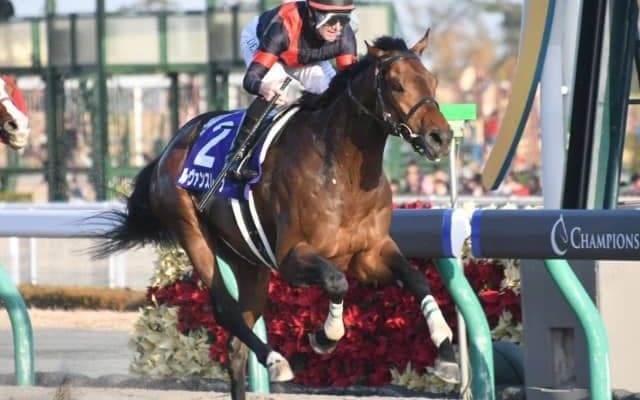 GI・4勝のルヴァンスレーヴが引退　社台スタリオンステーションで種牡馬入りする予定