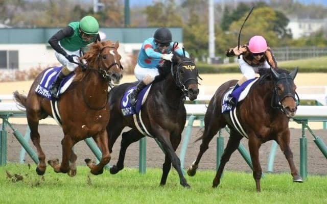 【北九州記念ハンデ確定】モズスーパーフレアは56.5kg、ジョーカナチャンは55.0kg