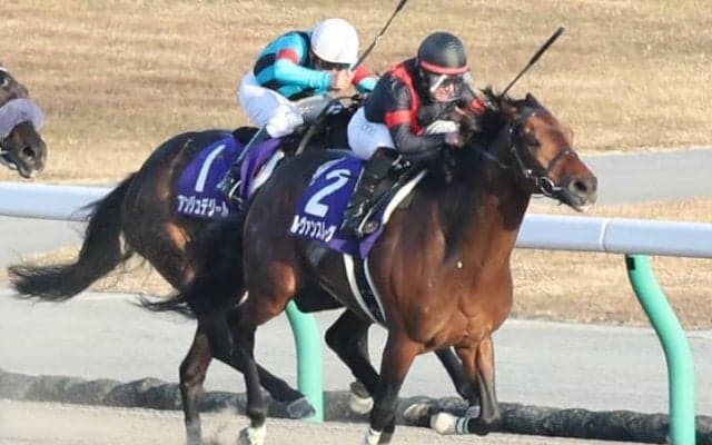 ルヴァンスレーヴが現役引退… 種牡馬入りへ