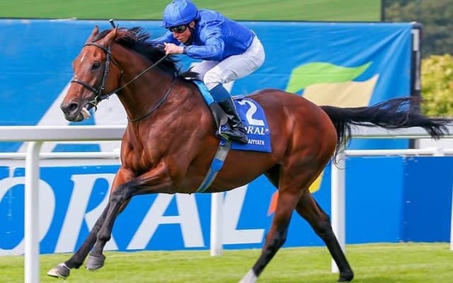 【英・インターナショナルS】ガイヤースは2番枠、マジカルは1番枠　5頭立てで4頭がG1馬