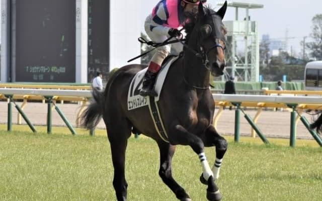 【門別競馬情報】シーズン中に3度も「史上最高」を更新！今夜メイン12Rは日高の特産品名が冠された「北海道日高乳業ヨーグルッペ特別」/地方競馬情報