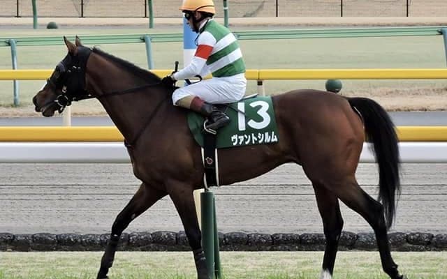 【先週のJRA抹消馬】オープン馬ヴァントシルム・ハットラブ、ニシノフラワー孫ニシノベースマンなど