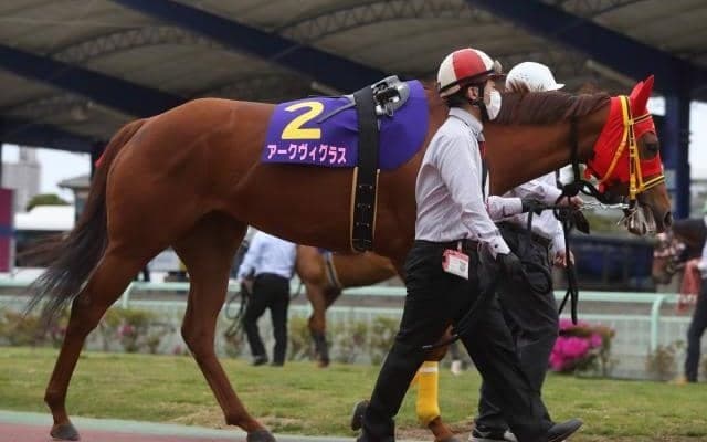 【読売レディス杯レース予想】ダートグレード馬・アークヴィグラス、久々の勝利へ/NARレース展望