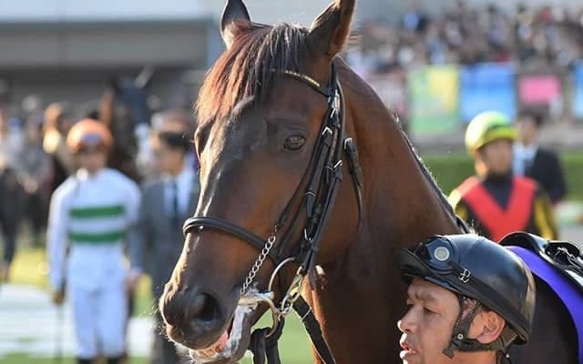 【次走】キセキは京都大賞典から天皇賞・秋を目標に