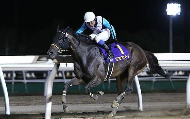 売り上げレコードを更新し続けるホッカイドウ競馬/田中哲実コラム