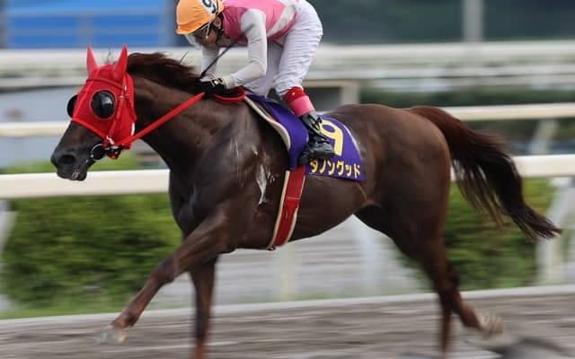 【建依別賞 枠順】ダノングッドは8枠9番、ピオネロは7枠7番