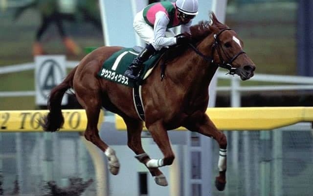 【地方競馬】最後の世代も活躍目立つ　サウスヴィグラス産駒/斎藤修コラム