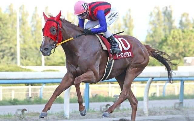 【門別競馬情報】2018年の「地方2歳女王」アークヴィグラスが遠征の金沢で完全復活！次走は名古屋「秋桜賞SP1」遠征プラン。今夜は「ヤングジョッキーズトライアル・門別ラウンド」/地方競馬情報