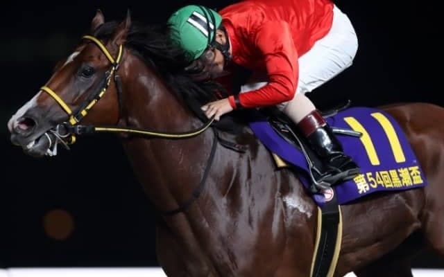 【黒潮盃】6馬身差Vインペリシャブルは戸塚記念を視野、山崎誠士騎手「折り合いをつけてというのを心がけました」