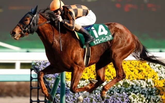 【北九州記念】モズスーパーフレアら牝馬が人気の中心に/予想オッズ