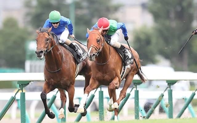 【札幌記念予想】 攻略のカギは開催初週となるCコース!? 展開的に有利に働きそうな穴候補とは？/JRAレース展望