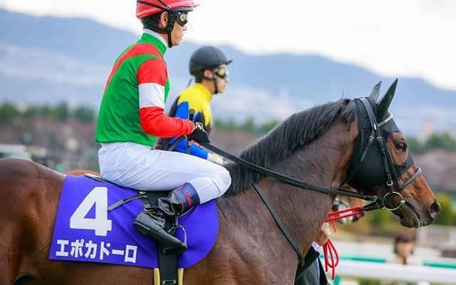 【JRA】エポカドーロが登録抹消、アロースタッドで種牡馬に