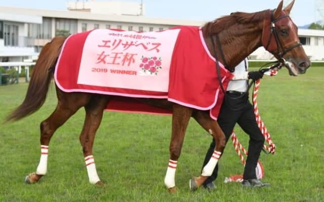【札幌記念】ラッキーライラック・ノームコアが人気の中心/予想オッズ