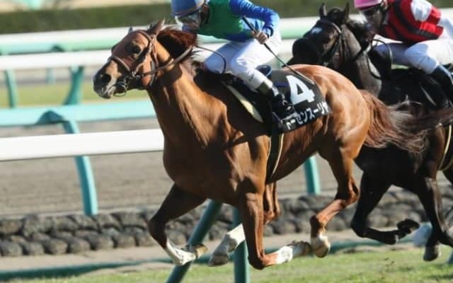 【札幌記念】「直近1年」成績は8-6-5-35で複勝率35.2％、複勝回収率118.5％！「小野次郎厩舎×横山和生騎手」のトーセンスーリヤ/ゴールデンコンビ