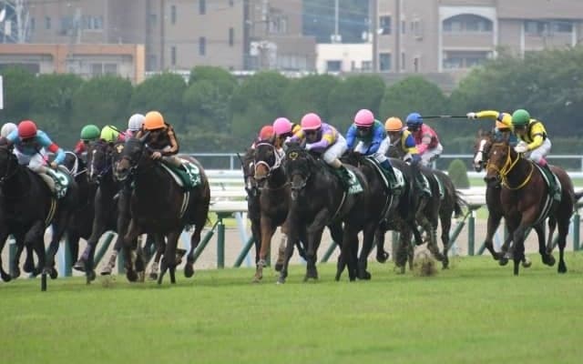 【北九州記念前日オッズ】モズスーパーフレアが3.3倍で1番人気