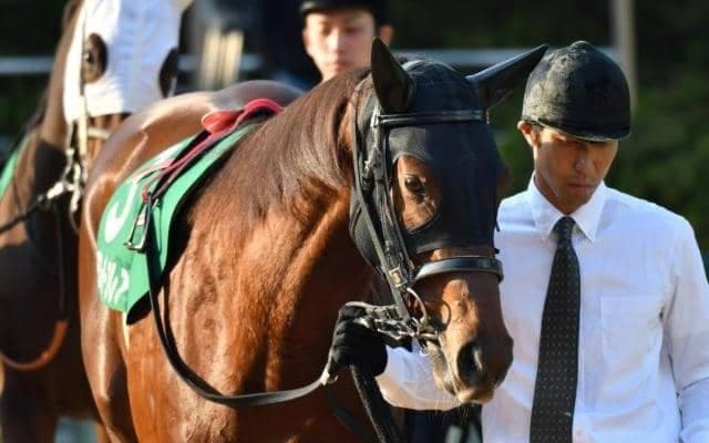 【北九州記念予想】快速牝馬が揃った一戦・モズスーパーフレア枠とスピード生かす/JRAレース展望