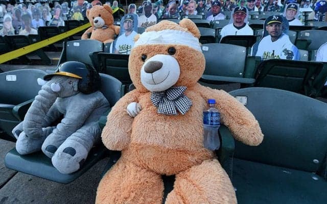 【MLB】人間だったら一大事!?　テディベアの頭部に打球直撃＆包帯姿に「脳震盪プロトコルをパス」