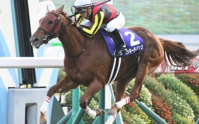 【本日の注目ポイント】夏の大一番・札幌記念、小倉ではスプリント重賞・北九州記念