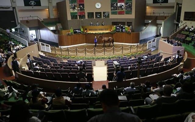 【セレクションセール2020】カワカミプリンセスの仔やエスポワールシチーの半弟らが上場/注目馬・牡馬編