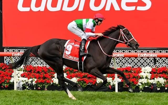 【海外競馬】リスグラシューが豪ヴィクトリア州の年度代表馬候補に